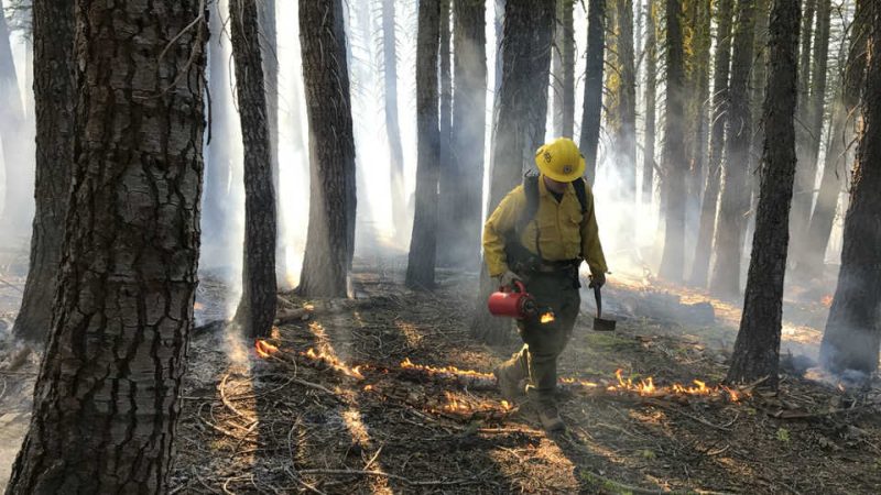 Blazing Skies: The Unforgettable Fire Near Merced and the Resilience of Community”