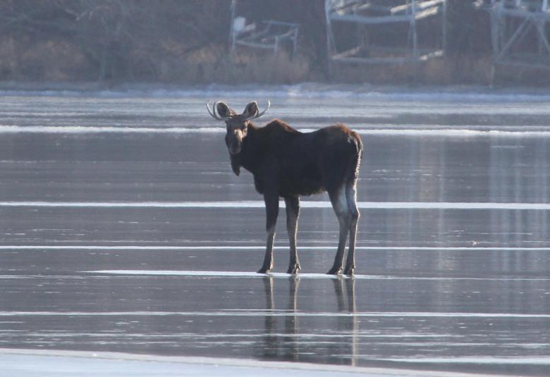 Okoboji Iowa News